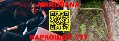 сатива Коммунар