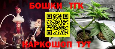 сатива Коммунар