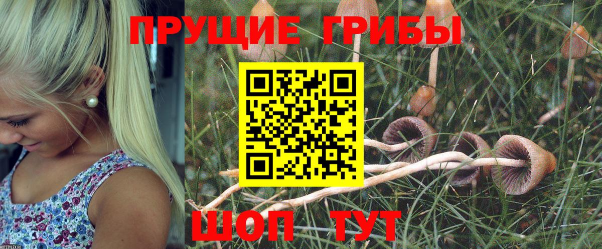 Кемерово  Галлюциногенные грибы GOLDEN TEACHER  Вход с VPN 