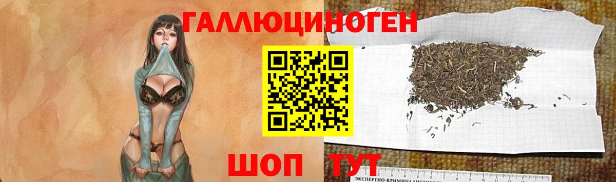 Галлюциногенные грибы MAGIC MUSHROOMS Кемерово